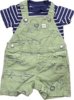 Espace deuxième vie - Ensemble, T-Shirt et Salopette-Short Carter’s 9 mois