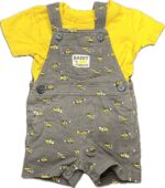 Espace deuxième vie - Ensemble, T-Shirt et Salopette-Short Carter's 6 mois