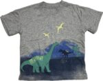 Espace deuxième vie - T-Shirt Carter's 2 ans