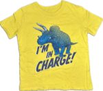Espace deuxième vie - T-Shirt Carter's 18 mois