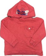 Espace deuxième vie - Chandail manche longue avec capuchon Zara 2-3 ans