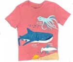 Espace deuxième vie - T-Shirt Carter's 2 ans